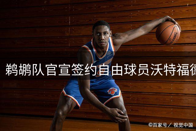 鹈鹕队官宣签约自由球员沃特福德